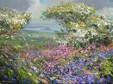 Mayblossom and flowers, Boskednan by Mark Preston