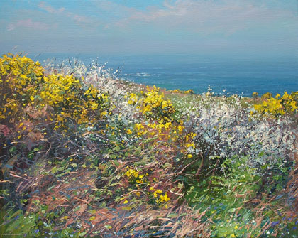 Gorse and blackthorn blossom, Rosemergy by Mark Preston