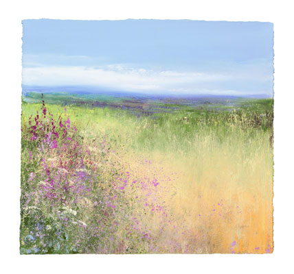 Fields of Flowers near St Ives  by Amanda Hoskin