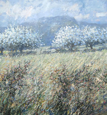 Blackthorn blossom by Robert Jones