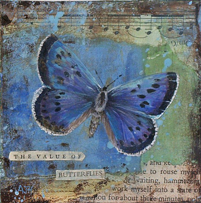 The value of butterflies by Amanda Hoskin