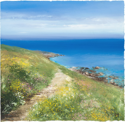 Summer flowers on the path to Mousehole by Amanda Hoskin