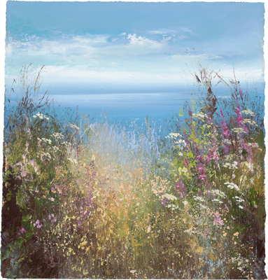 Wild flowers on the North Coast by Amanda Hoskin