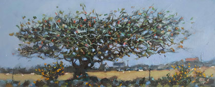 Wind blown blackthorn by Robert Jones