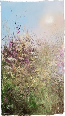 Summer days amongst the wild flowers by Amanda Hoskin