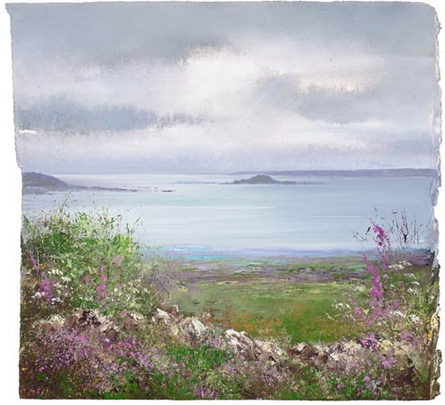 Foxgloves watch over the Eastern Isles, Scillies by Amanda Hoskin