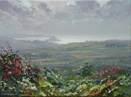 Silver Sea and Fuchsia, Boskednan by Mark Preston