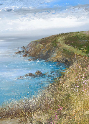 A Cornish summer by Amanda Hoskin