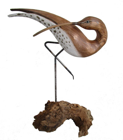 Curlew preening by Geoffrey Bickley