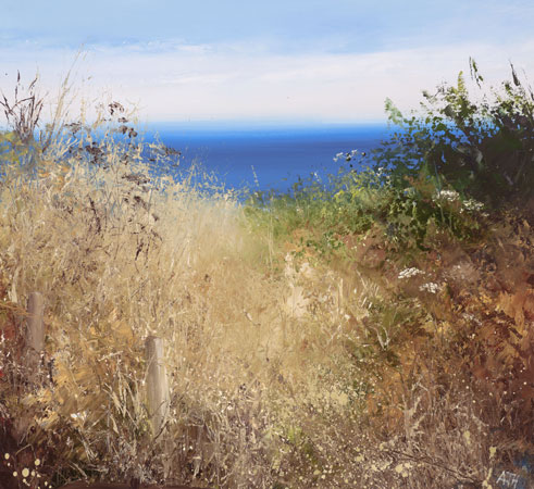 September grasses, Cornwall by Amanda Hoskin