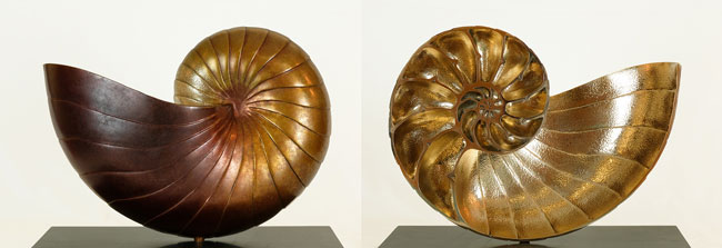 Sienna Plate Nautilus by Alex Kirkpatrick