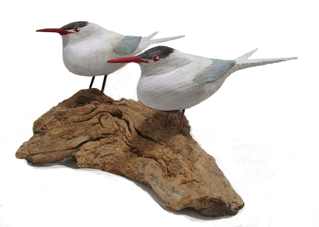 Pair of Terns by Geoffrey Bickley