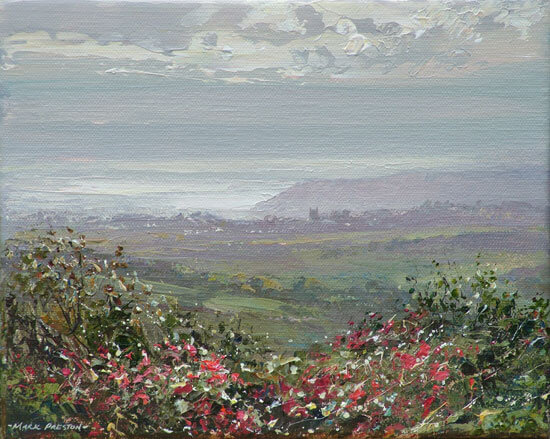 Sunlit Fuchsia, towards Newlyn by Mark Preston