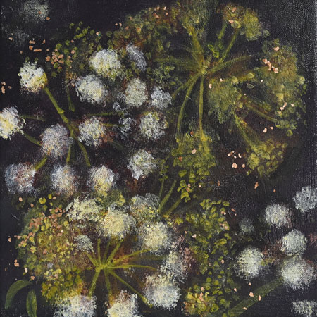 June Angelica by Catherine Hyde