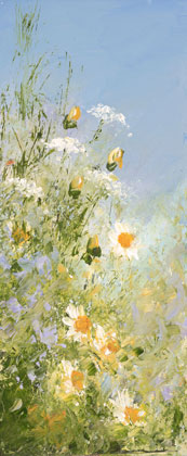 Summer daisies by Amanda Hoskin