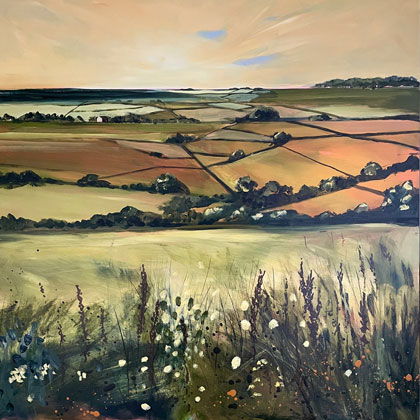 Cornish fields by Kirsten Elswood