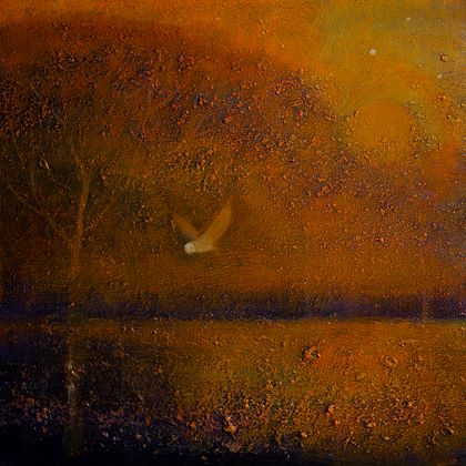 The setting sun by Catherine Hyde