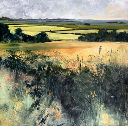 Cornish fields by Kirsten Elswood