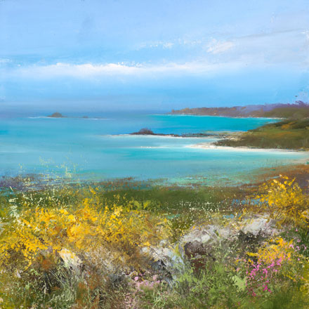 Spring gorse on Tresco by Amanda Hoskin