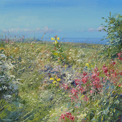 Cornish Garden, Trevowhan by Mark Preston