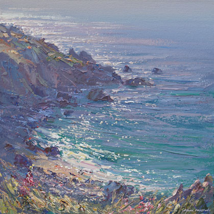 Summer Solstice, Veor Cove by Mark Preston