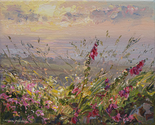 Summer Sundown, Morvah by Mark Preston