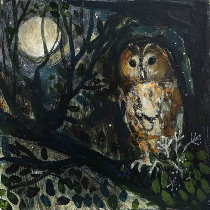 Owl light by Catherine Hyde