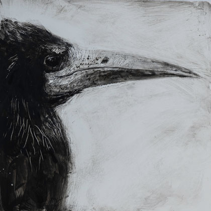 Rook by Catherine Hyde