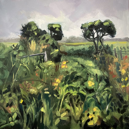 Coastal path near Morvah by Kirsten Elswood