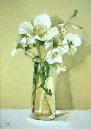 White Hellebores by Annie Waring