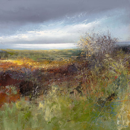 Beautiful light in Mounts Bay by Amanda Hoskin