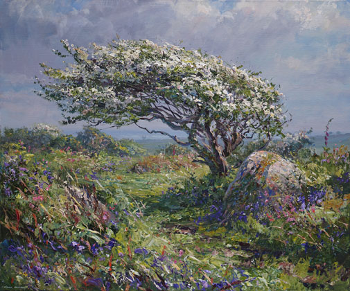 Windswept Hawthorn in Spring by Mark Preston