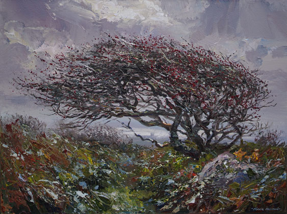 Windswept Hawthorn in Autumn by Mark Preston